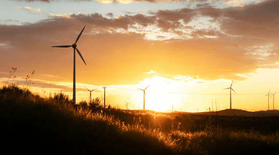 Energy & Law. Issue 31 Studies - Case Law - Legislation